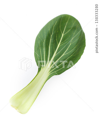 白色背景上的小白菜 138333280