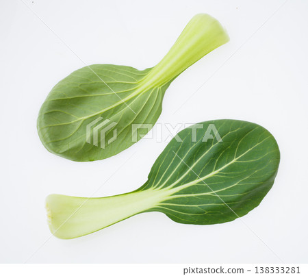 白色背景上的小白菜 138333281