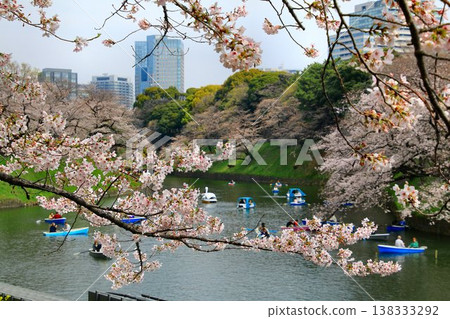 護城河裡櫻花盛開，景色美不勝收……千鳥淵與櫻花。 138333292