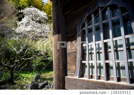 鎌倉 26321,永勝寺 1,木蘭 鎌倉 26321,永勝寺 1,木蘭 138333511