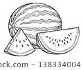 Engraving illustration of watermelon depicting whole fruit and sliced pieces for food and summer design 138334004
