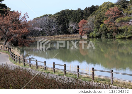 Kagamiyama Snake Pond in Karatsu City, Saga Prefecture 138334252