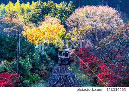 橫越紅葉的渡瀨谷鐵路 橫越紅葉的渡瀨谷鐵路 138334263