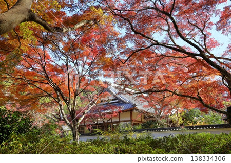 The maple trees at the temple gate are changing color. The maple trees at the temple gate are changing color. 138334306