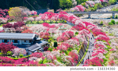 Achi Village, Hanamomo Village 138334360