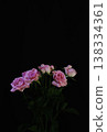 Beautiful fresh roses 138334361
