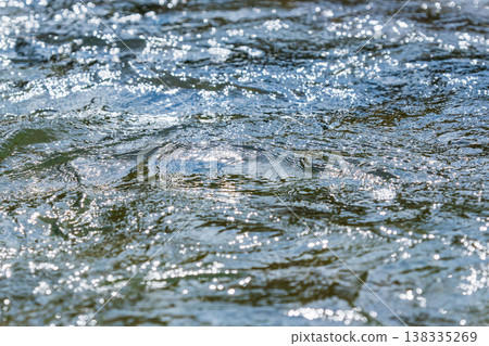 Autumn River: Close-up of the clear stream (83) 138335269