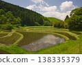 Rice paddies in Aso Ubuyama Village 138335379