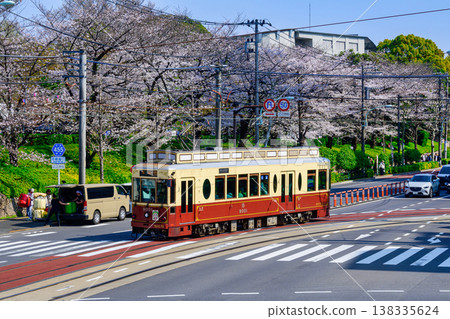 Tokyo Sakura Tram Lottery Train (car number 9001) and cherry blossoms in full bloom at Asukayama Park Tokyo Sakura Tram Lottery Train (car number 9001) and cherry blossoms in full bloom at Asukayama Park 138335624