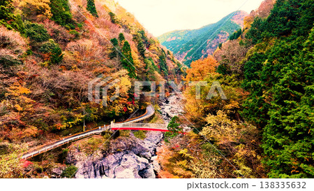 [Japan's Stunning Autumn Scenery] The Beauty of a Valley in Autumn Colors and a Clear Stream - Water Flowing Between Rocks 138335632