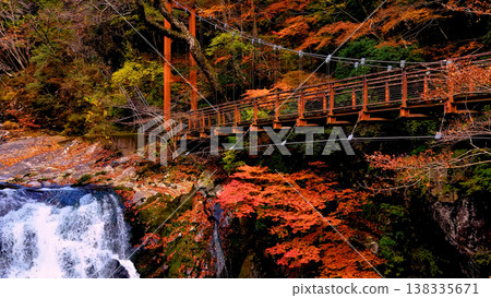 [Japan's Stunning Autumn Scenery] Drone aerial footage capturing mountains and valleys in autumn colors, waterfalls and suspension bridges. 138335671