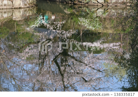 櫻花出現在水面上 櫻花出現在水面上 138335817