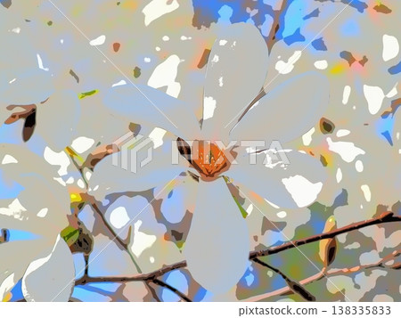 Magnolia blossoms in full bloom, bathed in spring sunlight (afr20260327150613) Magnolia blossoms in full bloom, bathed in spring sunlight (afr20260327150613) 138335833