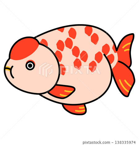 Ranchu illustration Ranchu illustration 138335974