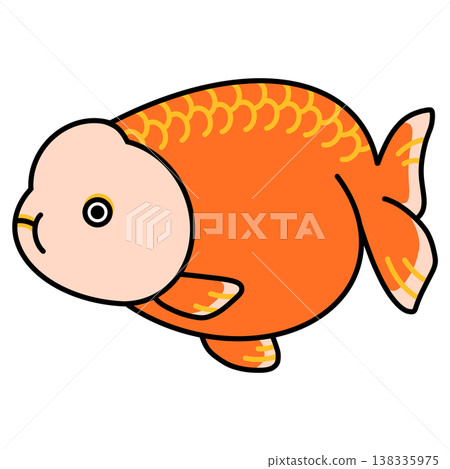 Ranchu illustration Ranchu illustration 138335975