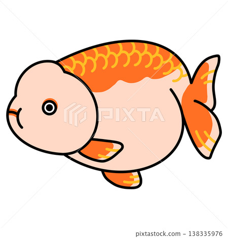 Ranchu illustration Ranchu illustration 138335976