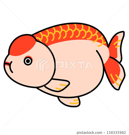 Ranchu illustration Ranchu illustration 138335982