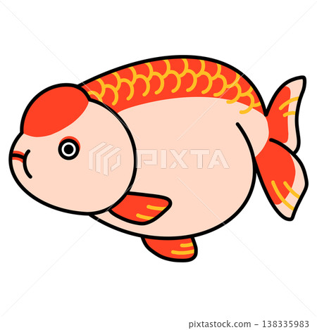 Ranchu illustration Ranchu illustration 138335983
