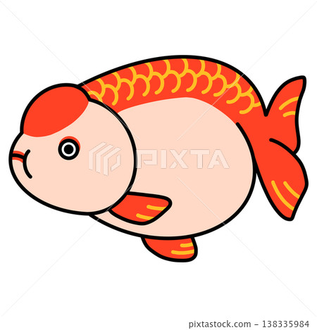 Ranchu illustration Ranchu illustration 138335984