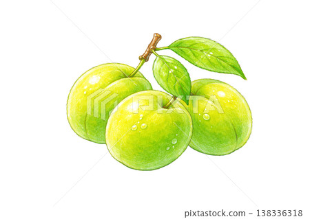 水彩畫，仿古風格，帶葉子的青梅，AI（人工墨水） 138336318