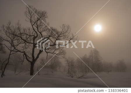 冬日的清晨,太陽穿過晨霧升起。 冬日的清晨,太陽穿過晨霧升起。 138336401