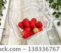 Image of strawberry hunting 138336767