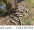 Logged and piled up branches 138336769