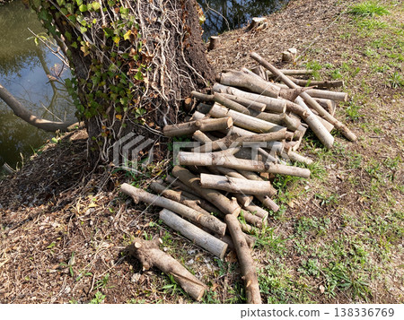 Logged and piled up branches 138336769