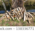 Logged and piled up branches 138336771