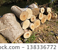 Logs felled and piled up 138336772
