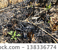 Traces of burnt rice paddies 138336774