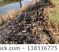 Traces of burnt rice paddies 138336775
