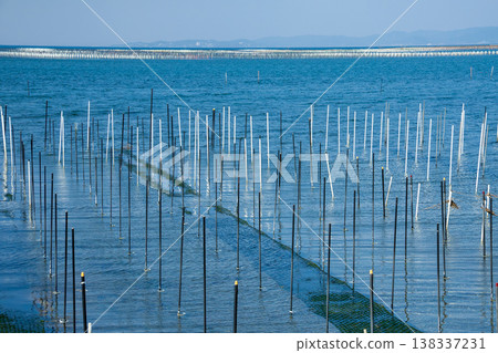 A fishing ground for cultivating sea lettuce (Tahara City, Aichi Prefecture) 138337231