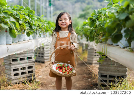 happy preschool child girl carrying a wicker basket full of strawberry in farm 138337260