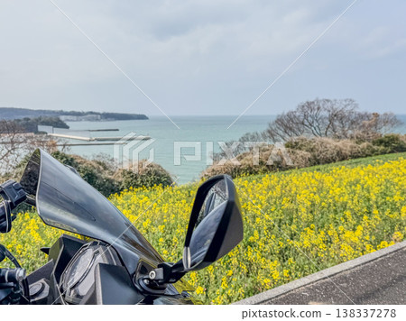 A motorcycle touring scene overlooking the sea and a field of rapeseed flowers. A motorcycle touring scene overlooking the sea and a field of rapeseed flowers. 138337278