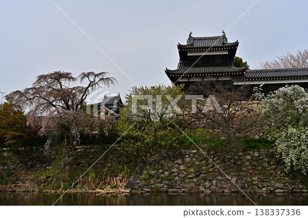 春天,盛開的櫻花裝飾著郡山城的遺址。 春天,盛開的櫻花裝飾著郡山城的遺址。 138337336