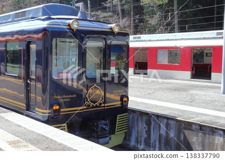 The sightseeing limited express "Blue Symphony" and a local train stopped at Yoshino Station (Yoshino Town, Nara Prefecture) 138337790