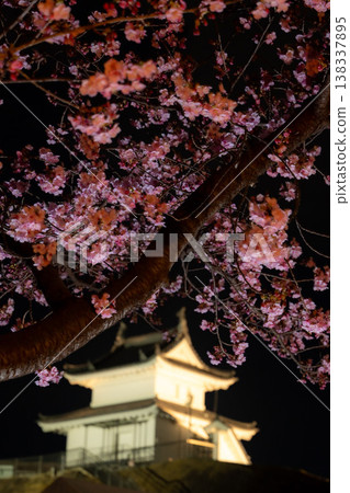"Night cherry blossoms" at Utsunomiya Castle Ruins Park "Night cherry blossoms" at Utsunomiya Castle Ruins Park 138337895