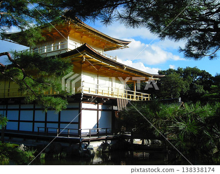 從松樹間可以看到京都美麗的日式庭園景色,金閣寺清晰可見。 從松樹間可以看到京都美麗的日式庭園景色,金閣寺清晰可見。 138338174