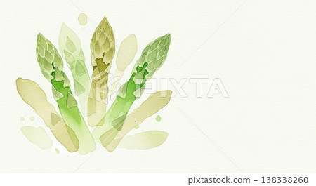 一幅柔和的水彩插畫，描繪了新鮮、鮮豔的蘆筍。自然的蔬菜形象，筆觸細膩。 138338260