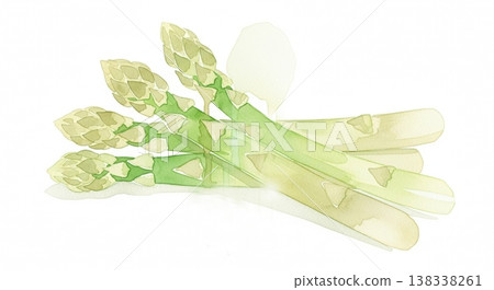 一幅柔和的水彩插畫，描繪了新鮮、鮮豔的蘆筍。自然的蔬菜形象，筆觸細膩。 138338261