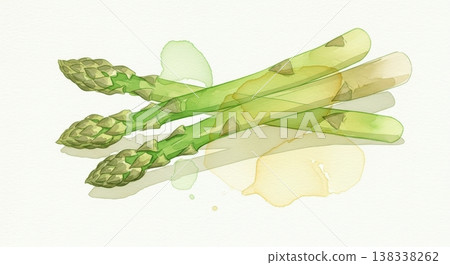 一幅柔和的水彩插畫，描繪了新鮮、鮮豔的蘆筍。自然的蔬菜形象，筆觸細膩。 138338262