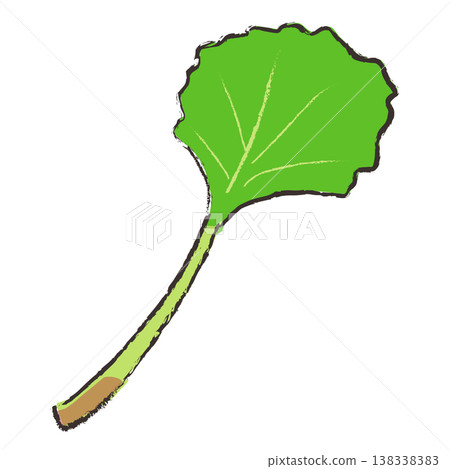 Illustration of butterbur 138338383