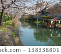 京都：櫻花與伏見極樂船 138338801