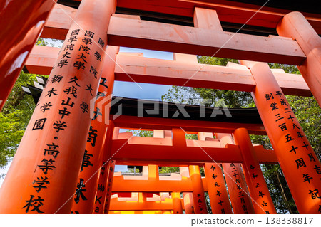 Leading vermilion torii gates forming ascending pathway through forest at Fushimi Inari Taisha in Kyoto Japan under soft daylight, Kyoto, Japan 138338817