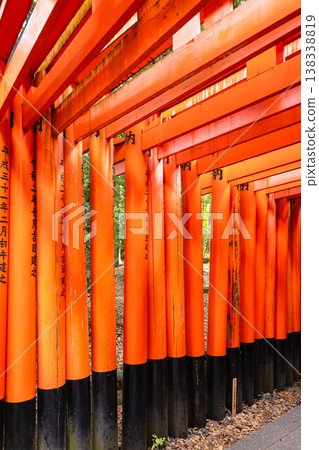 Fushimi Inari Taisha Torii Path. Repeated red columns and stone steps surrounded by dense greenery in iconic Shinto shrine complex Kyoto, Japan 138338819
