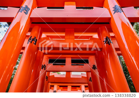 Leading vermilion torii gates forming ascending pathway through forest at Fushimi Inari Taisha in Kyoto Japan under soft daylight, Kyoto, Japan 138338820