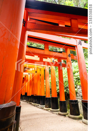 Fushimi Inari Taisha Torii Path. Repeated red columns and stone steps surrounded by dense greenery in iconic Shinto shrine complex Kyoto, Japan 138338858