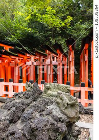 Fushimi Inari Taisha Torii Path. Repeated red columns and stone steps surrounded by dense greenery in iconic Shinto shrine complex Kyoto, Japan Fushimi Inari Taisha Torii Path. Repeated red columns and stone steps surrounded by dense greenery in iconic Shinto shrine complex Kyoto, Japan 138338864