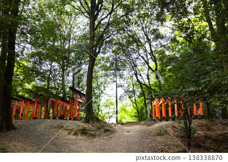 Fushimi Inari Taisha Torii Path. Repeated red columns and stone steps surrounded by dense greenery in iconic Shinto shrine complex Kyoto, Japan Fushimi Inari Taisha Torii Path. Repeated red columns and stone steps surrounded by dense greenery in iconic Shinto shrine complex Kyoto, Japan 138338870